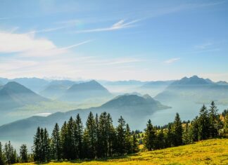 Po jakim czasie jest komornik Vivus? Po jakim czasie jest komornik Vivus?