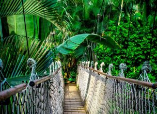 Czy kurs programowania ma sens? Czy kurs programowania ma sens?